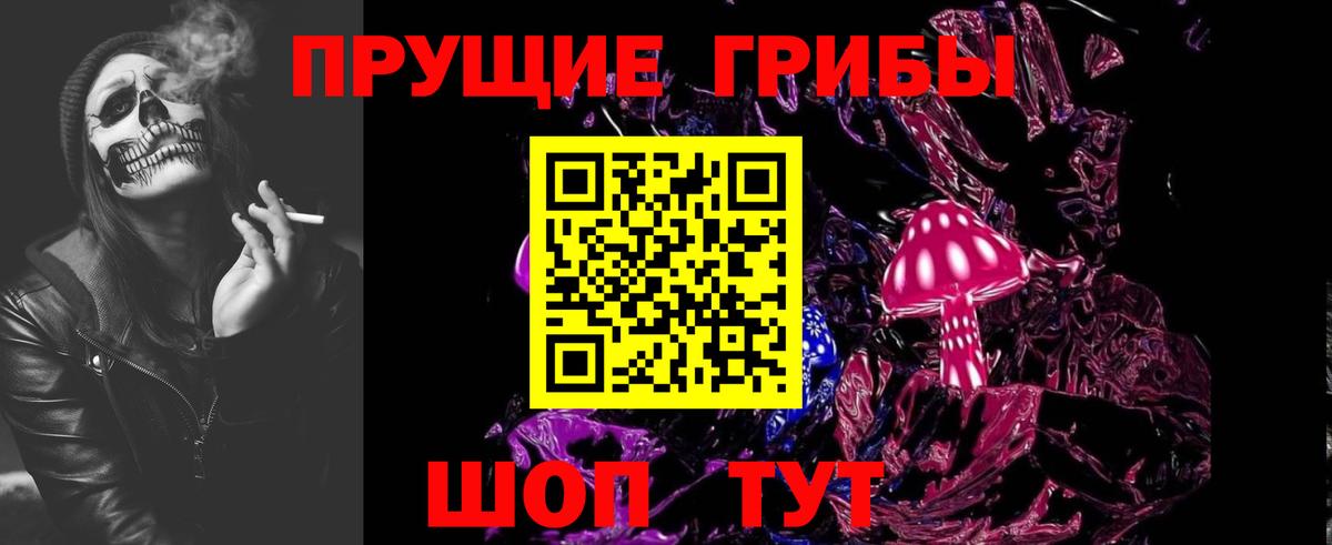 Карачаевск  Псилоцибиновые грибы мицелий  Вход с VPN 